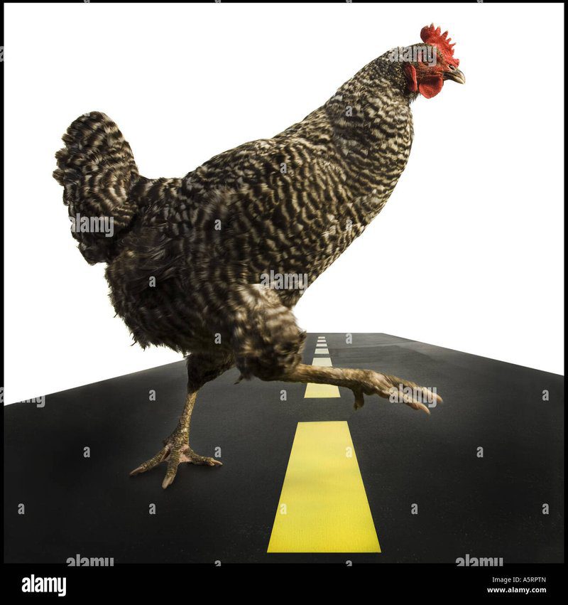 Best chicken road oficial in Spain